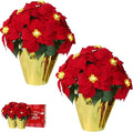 2 Pack 18" Lighted Large Artificial Poinsettias for Outdoors LED Poinsettia Flowers Artificial Faux Poinsettia Plants Poinsettia Christmas Decorations for Office Home Kitchen Decor