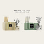 NEST New York Scented Classic Candle (8.1 oz) & Diffuser (5.9 fl oz) Set, Birchwood Pine - Reusable Glass Vessel - Vegan, Cruelty Free