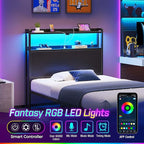 Rolanstar Headboard for Twin Size Bed with Storage, 60,000 DIY Color of LED Light, Head Board with USB & Type C Port, Height Adjustable, Black Cabeceras de Cama Comfortable Modern, Wood