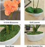 Large Artificial Potted Orchid Plant, Silk Flower Arrangement with Ceramics Vase, Orange