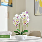 Large Artificial Potted Orchid Plant, Silk Flower Arrangement with Ceramics Vase, White