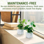 MyGift Artificial Clover and Taro Plants in Clear Glass Vase with Decorative White Stones, Set of 3