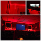 100Ft LED Rope Lights, LED Strip Lights Outdoor Waterproof Decorative Lighting for Indoor/Outdoor, Eaves, Backyards Garden, Halloween and Christmas Decorations(Red)