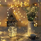 ZNYCYE 10 Pack Fairy Lights with Timer,10ft 30 LED String Lights 8 Modes Fairy Lights Battery Operated Waterproof for DIY Wedding Party Bedroom Mason Jars Christmas Decorations (Warm White)