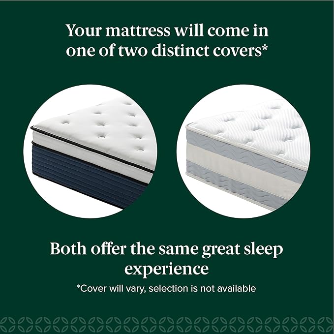 ZINUS 10 Inch Comfort Support Hybrid Mattress [New Version], Twin, Fiberglass Free, Medium Plush, Motion Isolation, Certified Safe Foams & Fabric, Mattress in A Box