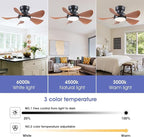 32 Inch Modern Ceiling Fans with Lights, Small Flush Mount Ceiling Fan with Light and Remote/APP Control, 5 Reversible 6 Speeds Curved Blades, 3 CCT Dimmable Lights for Kids Room, Brown
