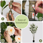 Faux Camellia Flower Tree 7ft(82in) Artificial Floor Plant for Indoor Decor Realistic Greenery Potted Tree with White Blooming Flowers and Natural Wood Trunk for Home Living Room,Office,Porch Decor