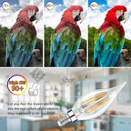 Dimmable E12 Candelabra LED Bulbs 60 Watt Incandescent Equivalent, 2700K Warm White, Clear Filament LED Chandelier Light Bulbs 6W, 600lm, CA11 Vintage Ceiling Fan Light Bulb with Flame Tip, 12-Pack
