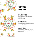 Maison Berger - Citrus Breeze Refill Oil for Lampe Berger Diffusers - Luxury Air Freshener with Fresh Cut Grass, Lemon Zest, Tea Leaves & Sandalwood - 16.9 Fl Oz (500ml)