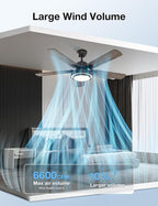 warmiplanet Ceiling Fans with Lights and Remote Control, 52 Inch, 6 Speeds Reversible DC Motor, 3 Color Dimmable Light, Timer, Noiseless, Black, 5 Blades, 2 Pack