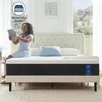 Molblly Twin XL Mattress,10 Inch Cooling-Gel Memory Foam Mattress Bed in a Box,Bed Supportive & Pressure Relief, 38" X 78"