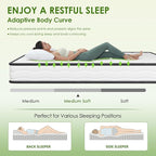 PayLessHere | 6 Inch Queen Mattress | Medium Firm Hybrid Mattress | White | with High-Density Foam and Breathable Cover | Pocket Spring Design, Pressure Relief | Bed in a Box, CertiPUR-US Certified