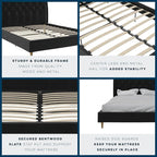 Novogratz The Her Majesty Upholstered Bed, Queen, Black Velvet