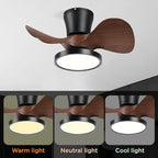 ocioc Quiet Ceiling Fan with LED Light 22 inch Large Air Volume Remote Control for Kitchen Bedroom Dining Room Patio