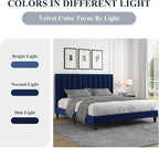 Allewie Queen Platform Bed Frame/Velvet Upholstered Bed Frame with Vertical Channel Tufted Headboard/Strong Wooden Slats/Mattress Foundation/Box Spring Optional/Easy Assembly/Navy Blue