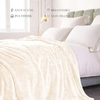 Exclusivo Mezcla Plush Fuzzy Fleece Bed Blanket Queen Size, Super Soft, Fluffy and Warm Blankets Suitable for All Seasons (Ivory, 90x90 Inches)