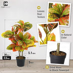 Fencer Wire 30 Inch Artificial Topiary Croton Tree, UV Resistant Artificial Outdoor Plants, Faux Bushes and Shrub, Fake Trees in Pot with Dried Moss, Artificial Plants for Front Porch, Indoor, Outdoor