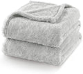 Exclusivo Mezcla Plush Fuzzy Fleece Bed Blanket Queen Size, Super Soft, Fluffy and Warm Blankets，Suitable for All Seasons (Light Grey, 90x90 Inches)