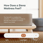 Siena 8” King Mattress with Adjustable Base - Head & Foot Incline - Medium Firm Gel Memory Foam - Premium Pressure Relieving Layers - Wireless Remote with Memory - Zero Clearance - Zero Gravity