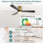 Sofucor Ceiling Fan with Lights-52 Inch Flush Mount Ceiling Fan with Light and Remote Control, Low Profile Wood Blades Modern Outdoor Ceiling Fans for Bedroom/Farmhouse/Patio/Indoor, Quiet DC Motor