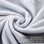 Polar Fleece Blankets Queen Size for The Bed Extra Soft Brush Fabric Super Warm Sofa Blanket 90" x 90"(Light Gray Queen)