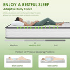 PayLessHere | 8 Inch Queen Mattress | Medium Firm Hybrid Mattress | White | with High-Density Foam and Breathable Cover | Pocket Spring Design, Pressure Relief | Bed in a Box, CertiPUR-US Certified