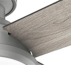 Hunter 51736 Dempsey Ceiling Fan 52 inches Matte Silver