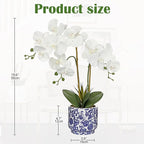 Briful Orchid Artificial Flowers 19.6in White Orchid Silk Floral Arrangement with Blue and White Ceramic Pot Fake Orchid Plant for Home Office Dining Room Table Centerpiece Decor