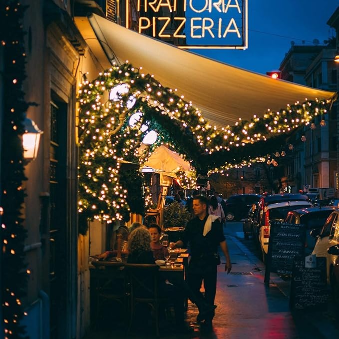 Clear Christmas Lights 200 Count 50 Feet Bulb Mini Lights, Waterproof String Light for Indoor Xmas Tree Garland Birthday Wedding Decoration, Green Wire