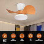 ocioc Quiet Ceiling Fan with LED Light 22 inch Large Air Volume Remote Control for Kitchen Bedroom Dining Room Patio