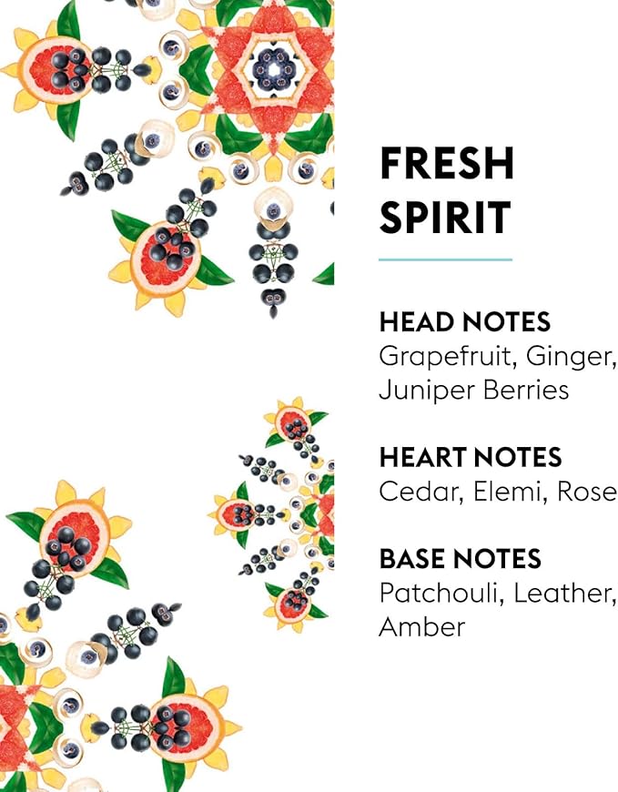 Maison Berger - Fresh Spirit - Lampe Berger Fragrance Refill Oil for Home Diffusers - Luxury Air Freshener with Grapefruit, Juniper & Leather Notes - 16.9 Fl Oz (500ml)