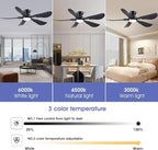 52 Inch Modern Ceiling Fans with Lights, Flush Mount Ceiling Fan with Light and Remote/APP Control, 5 Reversible 6 Speeds Curved Blades, 3 CCT Dimmable Lights for Bedroom, Black