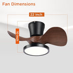 ocioc Quiet Ceiling Fan with LED Light 22 inch Large Air Volume Remote Control for Kitchen Bedroom Dining Room Patio