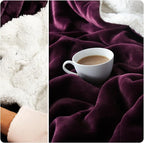 NANPIPER Sherpa Blanket Twin Size for Couch, Warm and Lightweight Throw, Soft Fuzzy Plush Fleece for Winter, Plum Purple 60x80 Inches