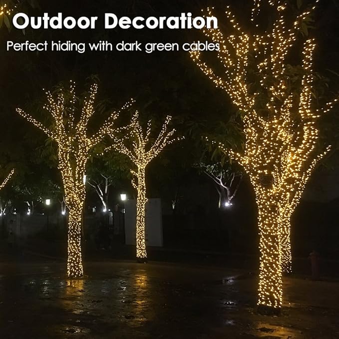 RPGT Christmas Light 100 LEDs 41ft Green Cable Wire Fairy String Twinkle Lights Plug in 12 Modes for Xmas Tree, Party, Indoor,Outdoor, Garden, Wedding, Home Decoration (Warm White)