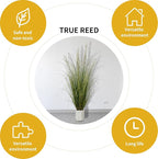 Artificial Plant 5ft Tall Artificial Grass Plant,Faux Plants Indoor Home Decorative Artificial Plants & Flowers in Pot Fake Plant, House Plant Indoor