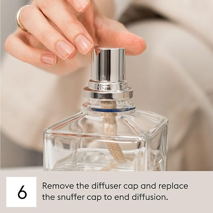 Maison Berger - Citrus Breeze Refill Oil for Lampe Berger Diffusers - Luxury Air Freshener with Fresh Cut Grass, Lemon Zest, Tea Leaves & Sandalwood - 16.9 Fl Oz (500ml)