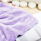 Exclusivo Mezcla Fleece Throw Blanket, Super Soft and Warm Blankets for Couch, Sofa and Bed Waffle Textured, Cozy, Fuzzy and Lightweight (Lilac Purple, 40x50 Inches)