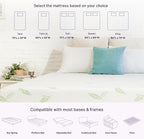 NapQueen Queen Size, 12 Inch Anula Green Tea Infused Memory Foam Mattress, Bed in a Box, CertiPUR-US Certified Mattress