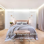 DAYBETTER White LED Strip Light, 100 ft Dimmable Strip, 6500K 24V Lighting Strips, 1800 LEDs 2835 Tape Lights for Bedroom, Kitchen, Mirror, Home Decoration(2 Rolls of 50 ft)