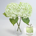 MARTINE MALL 2Pcs 21in Hydrangea Artificial Flowers, Latex Real Touch Hydrangeas Lifelike Large Hydrangea Flowers for Home Decor Party Arrangements Wedding Bouquets Centerpieces (Light Green)