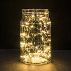 Fairy Lights CR2032 Battery Operated,6.6Ft/2Meter 20 LEDs Micro Silver Wire String Lights for Bedroom Christmas Party Wedding Decoration(Warm White, 12 Pack)