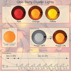 QBIS 120 LED Christmas Cluster Fairy Lights – Red, Orange, Yellow Indoor Decorative String Lights, Plug-in Fall Decor for Indoor or Outdoor use.