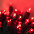 Wintergreen Lighting 50 5mm LED Red Christmas Lights, 6 Spacing, 25' Valentines Day Holiday Lights Mini Lights LED String Lights Christmas String Lights