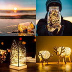 ANJAYLIA Fairy Lights, 10ft 30 LED Mini String Lights Battery Operated Firefly Starry Lights for Wedding, Bedroom, Party, Christmas, Warm White 2 Pack