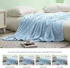 Exclusivo Mezcla Fleece Throw Blanket for Couch, 50x70 Inches Soft Cozy Jacquard Flannel Blankets, Lightweight Fuzzy Plush Warm Throws for Winter, Light Blue