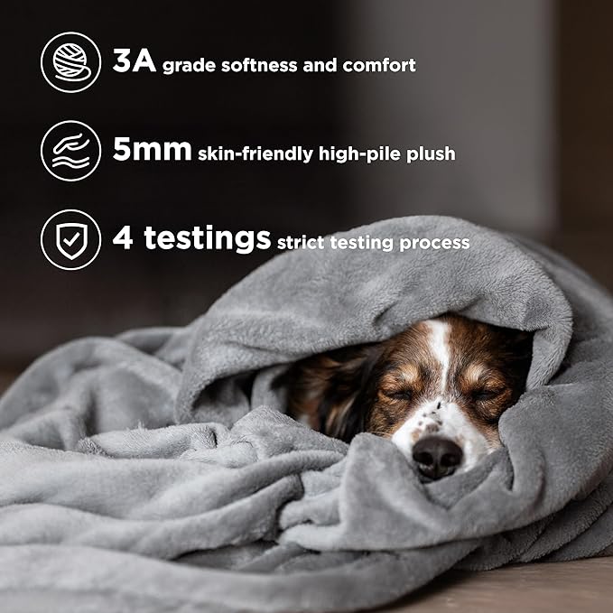 Bedsure GentleSoft Fleece Throw Blanket for Couch Grey - Lightweight Plush Fuzzy Cozy Soft Blankets and Throws for Sofa, 50x60 inches