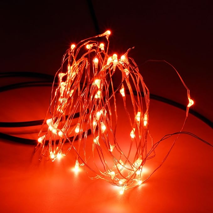 Karlling USB Plug in LED Fairy Lights,50 LED Bulbs 16 Ft Silver Wire Starry String Lights for Bedroom Patio Garden Party Wedding Commercial Lighting (Red)