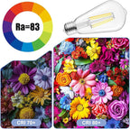 Brightown 6 Pack LED Edison Bulbs, 6W, Equivalent 60W, High Bright 5000K White,750 Lumens, Non-Dimmable, E26 Medium Base ST58 Antique Filament Bulbs with 83+ CRI for Ceiling Fan Bathroom Porch