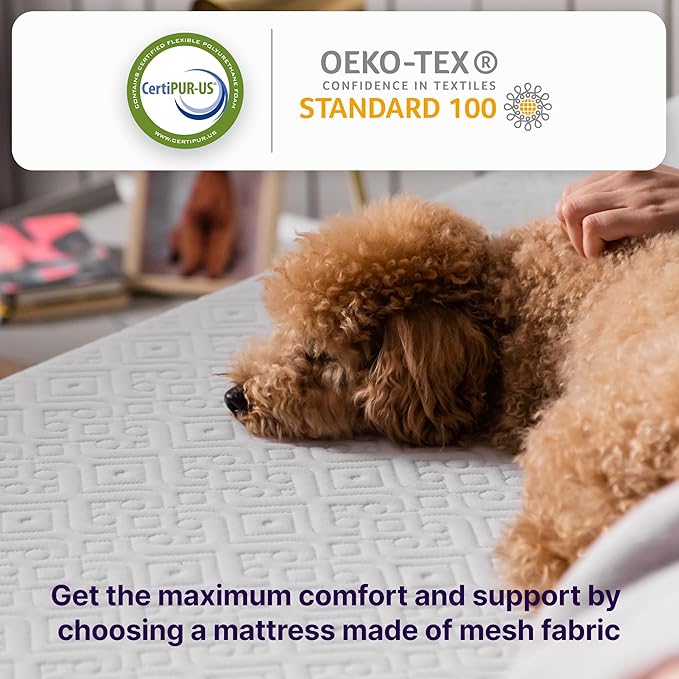 NapQueen Twin Mattress, 10 Inch Elizabeth Cooling Gel Memory Foam Mattress, Twin Bed Mattress in a Box, CertiPUR-US Certified, Medium Firm, Breathable Soft Fabric Cover